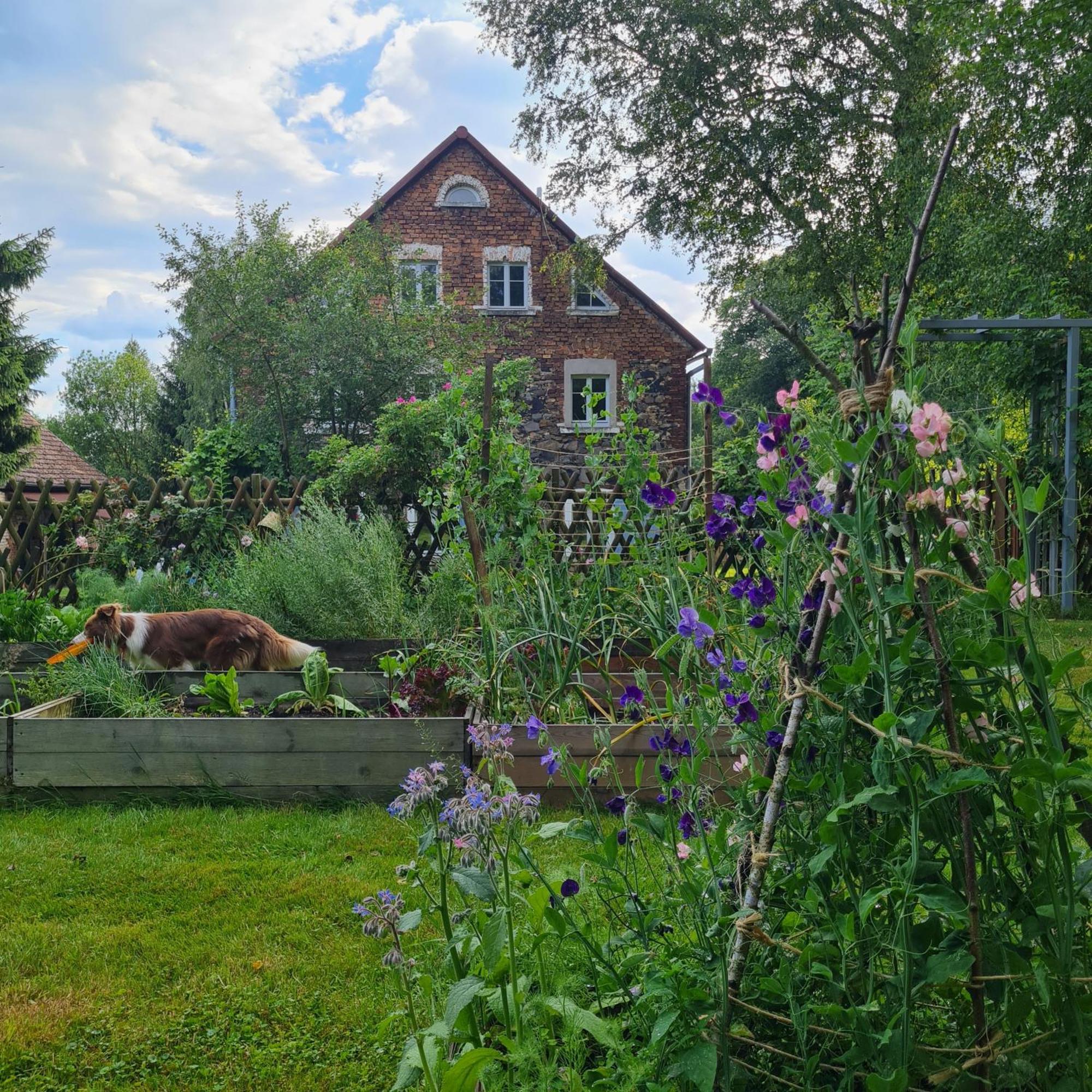 I Spokoj Farm stay *